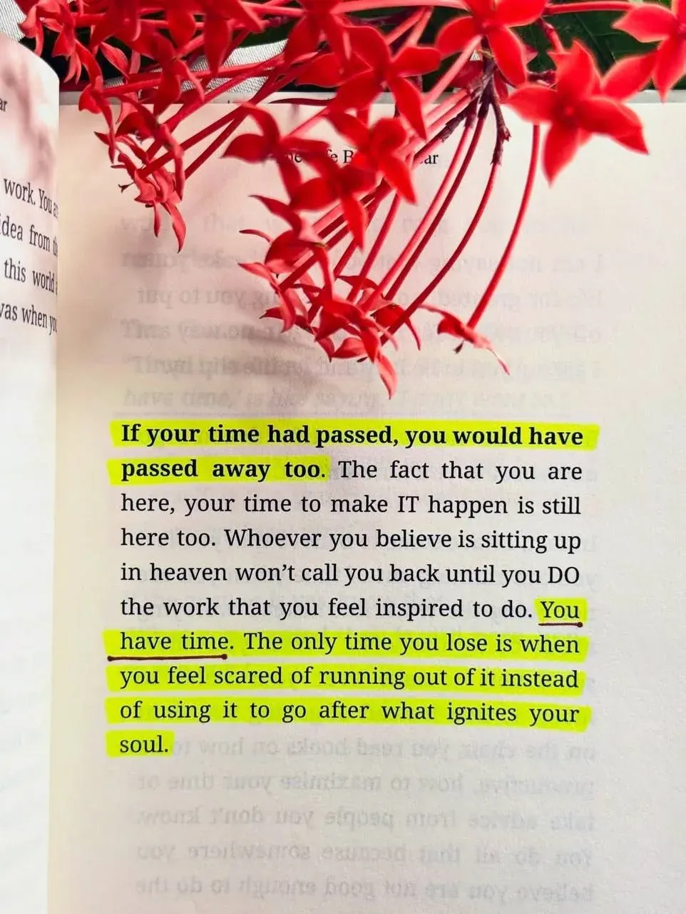 Portrait photo with motivational quote about having time to do the work that inspires you before your time has passed Portrait photo with motivational quote about having time to do the work that inspires you before your time has passed